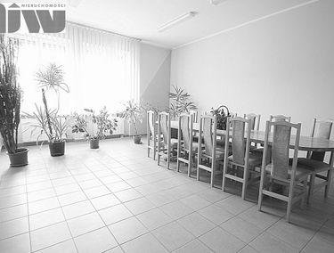 Zdjęcie 13392308
