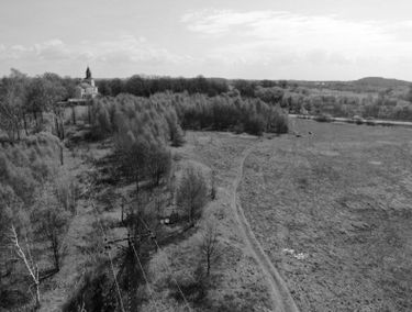 Zdjęcie 13400423