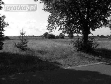 Zdjęcie 13424373