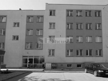 Zdjęcie 13431796