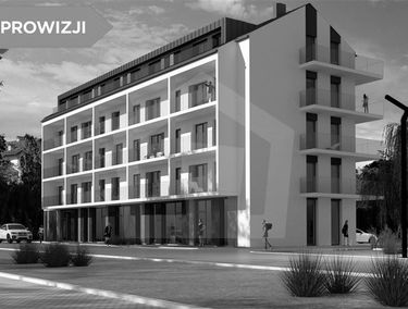 Zdjęcie 13435148