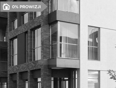 Zdjęcie 13435297