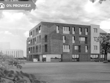 Zdjęcie 13435532