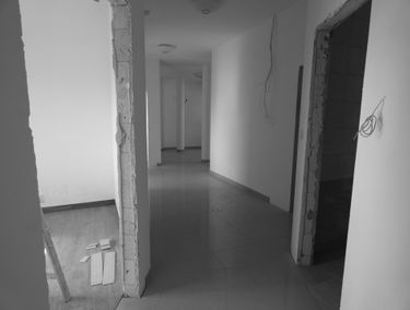 Zdjęcie 13438124