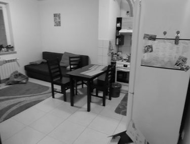Zdjęcie 13451732