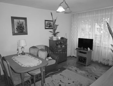 Zdjęcie 13453562