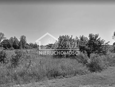 Zdjęcie 13455789