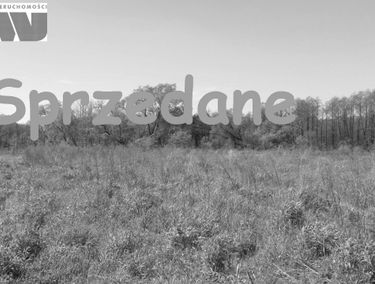 Zdjęcie 13458129