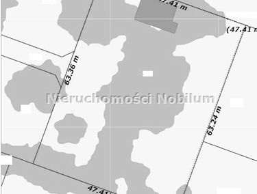 Zdjęcie 13475111