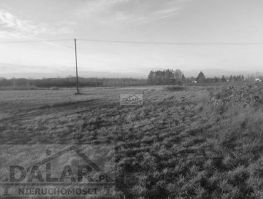 Zdjęcie 13501049