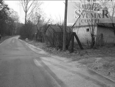 Zdjęcie 13501099