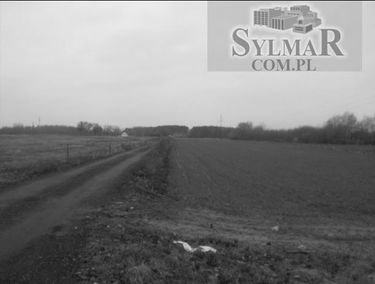 Zdjęcie 13501116