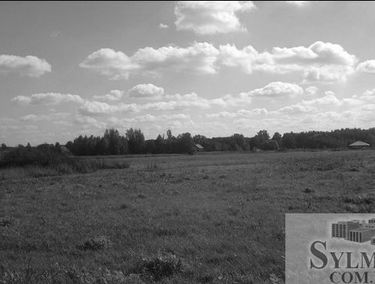 Zdjęcie 13501208