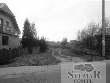 Zdjęcie 13501210