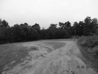 Zdjęcie 13512437