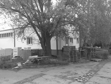 Zdjęcie 13524719