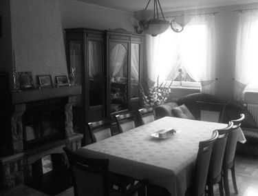 Zdjęcie 13539341