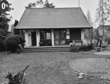 Zdjęcie 13542175
