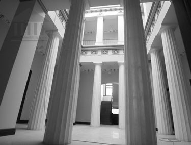 Zdjęcie 13568337