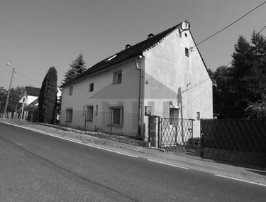 Zdjęcie 13570558