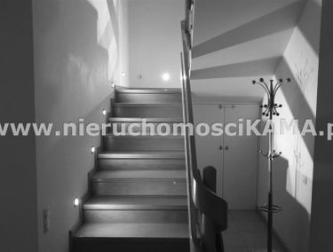Zdjęcie 13571354