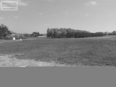 Zdjęcie 13587990