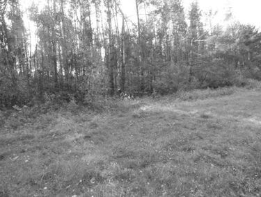 Zdjęcie 13588816