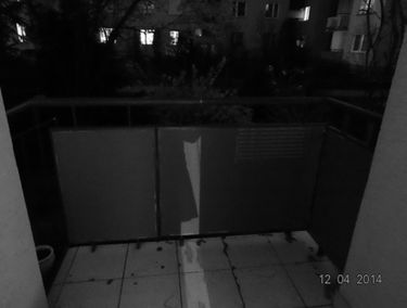 Zdjęcie 13594354