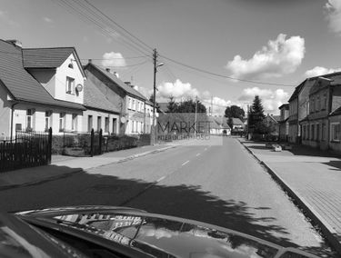 Zdjęcie 13770015