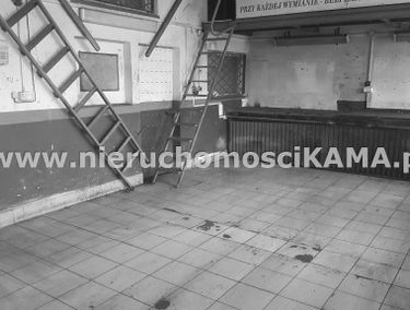 Zdjęcie 13612926