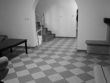 Zdjęcie 13614725