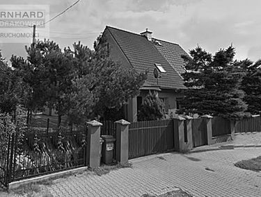 Zdjęcie 13625374
