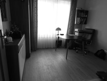 Zdjęcie 13651854