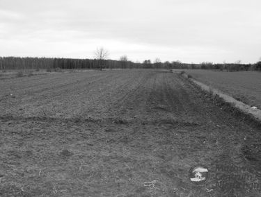 Zdjęcie 13663327