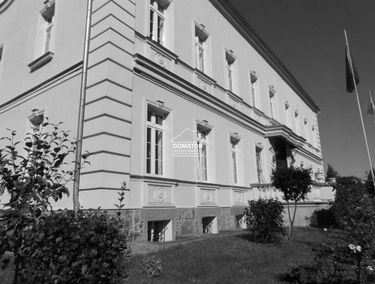 Zdjęcie 13667220