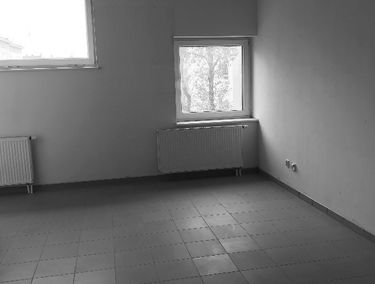 Zdjęcie 13679488