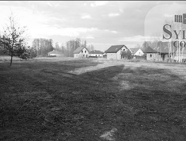 Zdjęcie 13700302