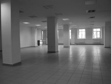 Zdjęcie 13703532