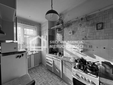 Zdjęcie 13703931