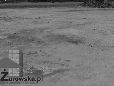 Zdjęcie 13709865