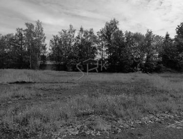 Zdjęcie 13710873