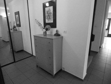 Zdjęcie 13725443