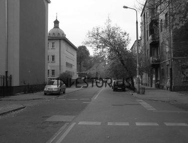 Zdjęcie 13726842