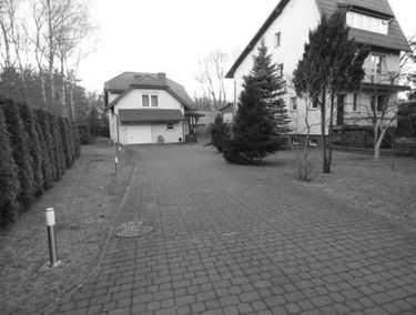 Zdjęcie 13738498