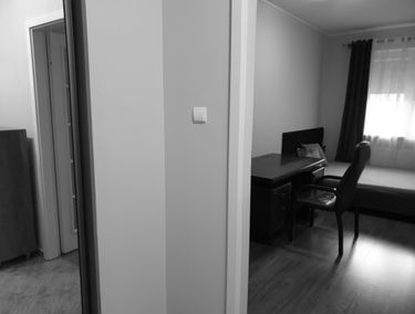 Zdjęcie 13751127