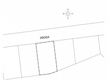 Zdjęcie 13777957
