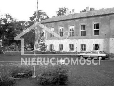 Zdjęcie 13778708