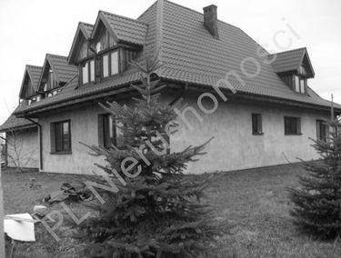 Zdjęcie 13782315