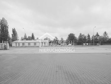 Zdjęcie 13789164