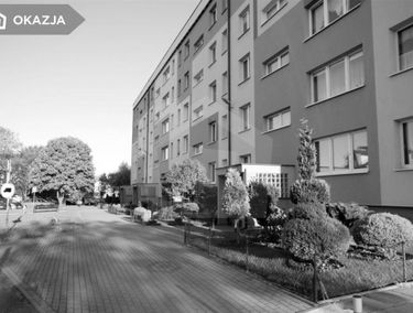 Zdjęcie 13792108